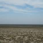 Mar de Aral. Fotografía de Adam Harangozó obtida en WikiCommons